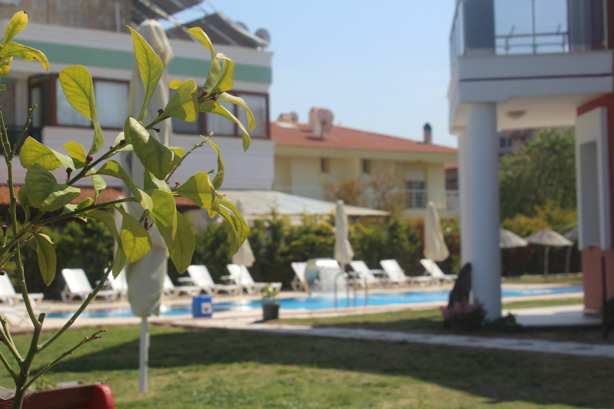 Cilek Butik Hotel Cesme Exterior foto